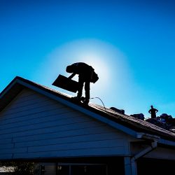 live oak florida roof replacement tamko titan xt-7